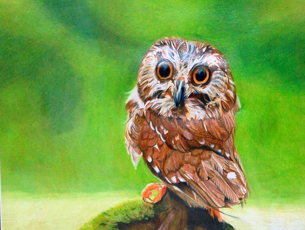 Wádánwe (The Watcher)