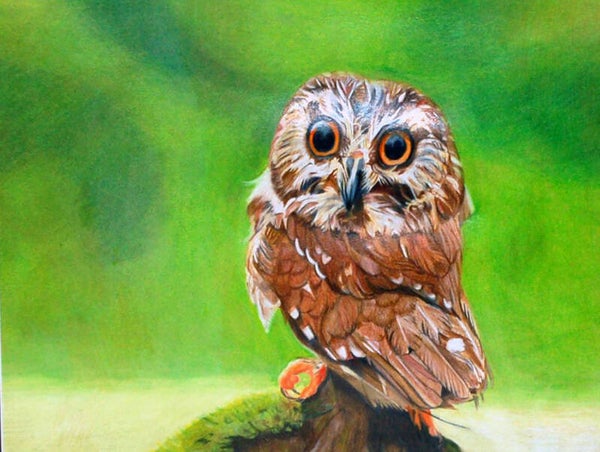 Wádánwe (The Watcher)