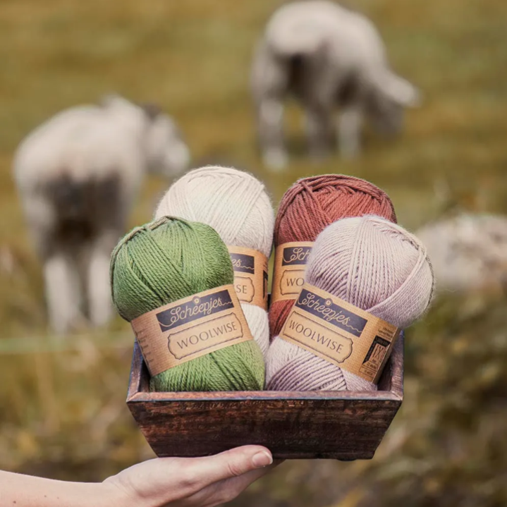Scheepjes Woolwise - gerecycled merinowol nld. 4
