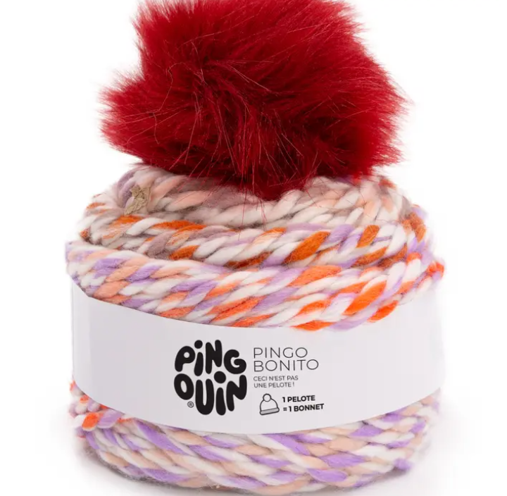 Phildar Bonito Multicolor - Brei een muts met pluim