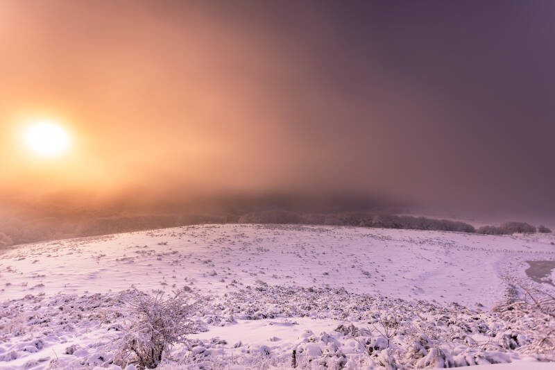 photographieorage-1436-standard.jpg