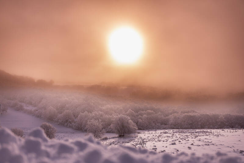 photographieorage-1437-standard.jpg
