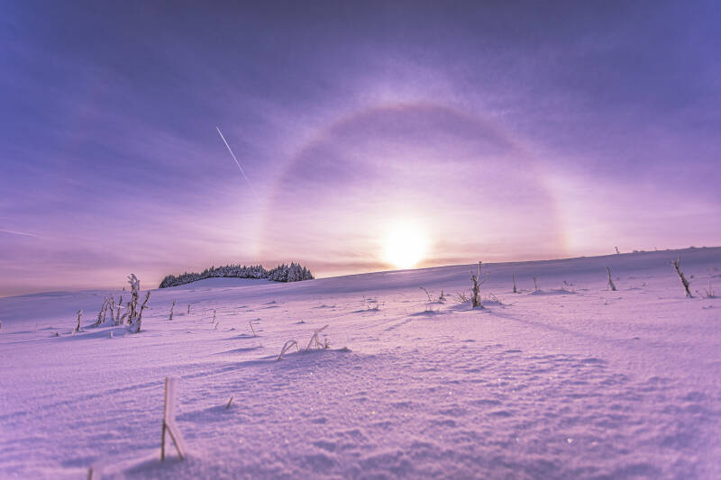 photographieorage-1439-standard.jpg