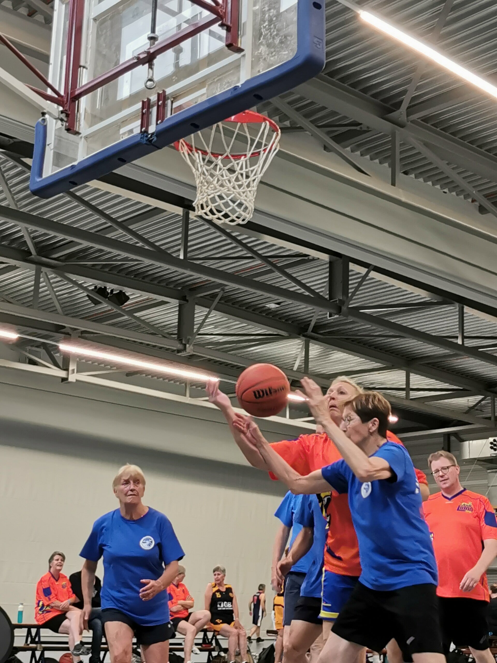 img_20260606_142559-standard.jpg