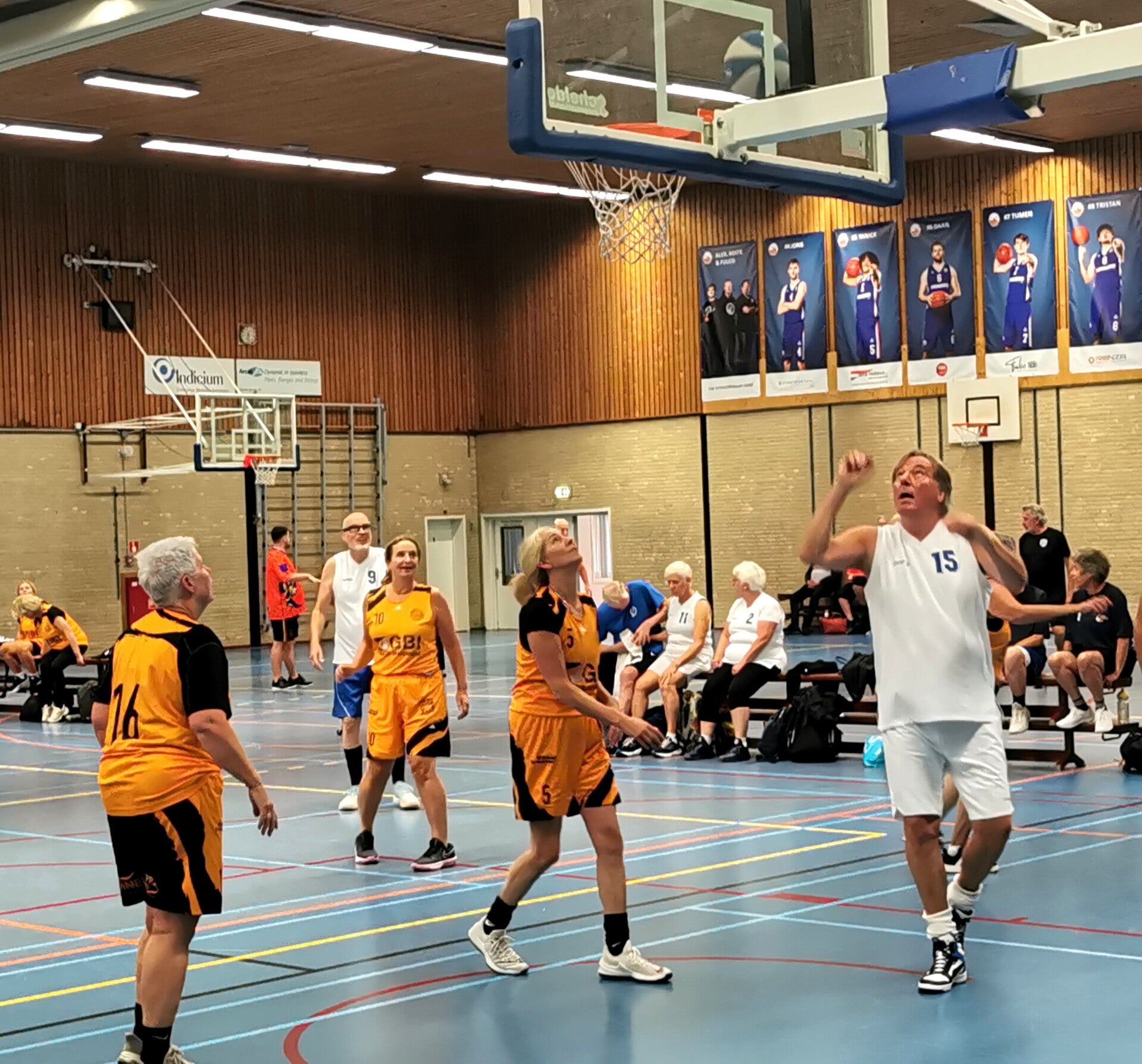 img_20261017_132858_edit_616468558942388-standard-ozue1e.jpg