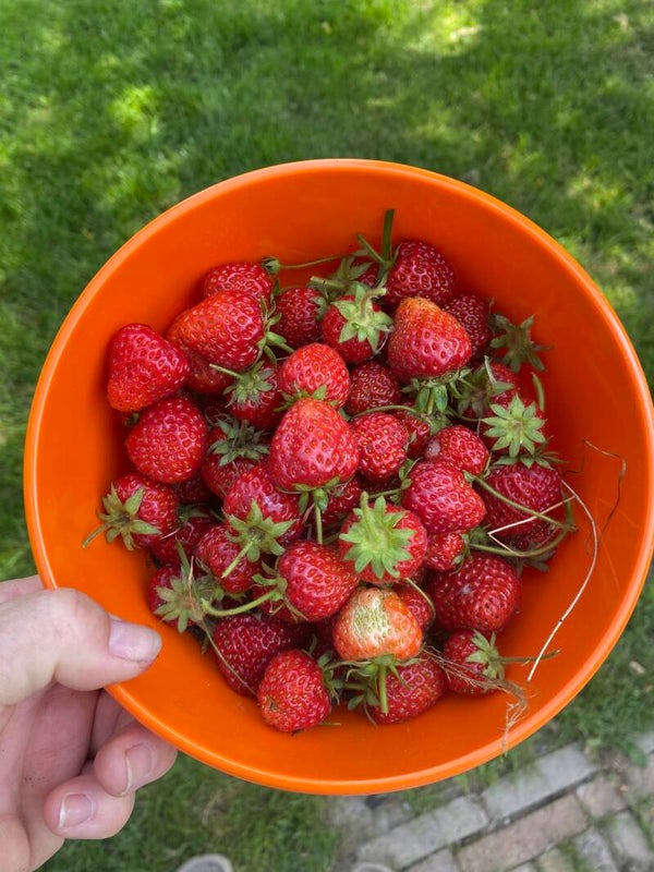 Maandelijkse donatie van €10,-