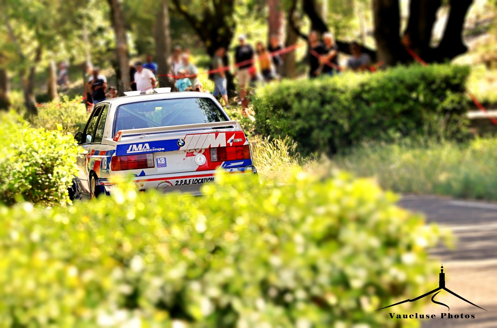 img_0363-standard.jpg
