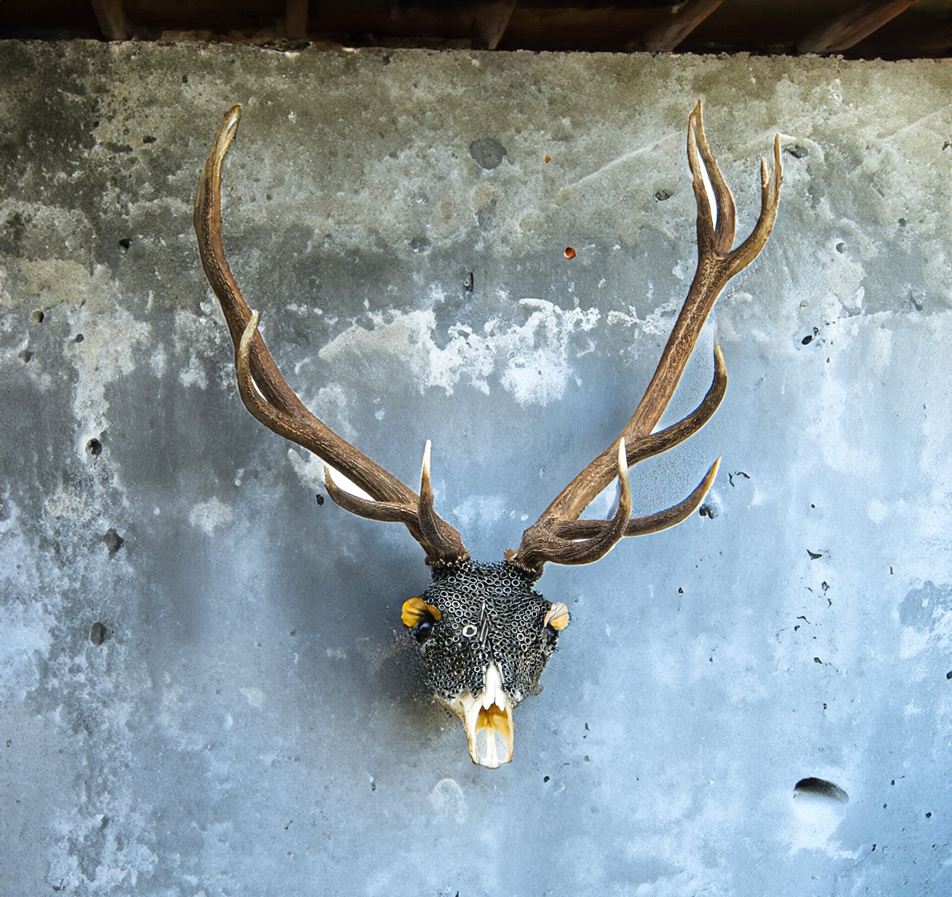 Hirschkopf Betonwand Metallkunst