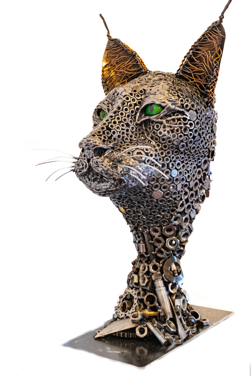Lange Nacht der Museen, Luchs