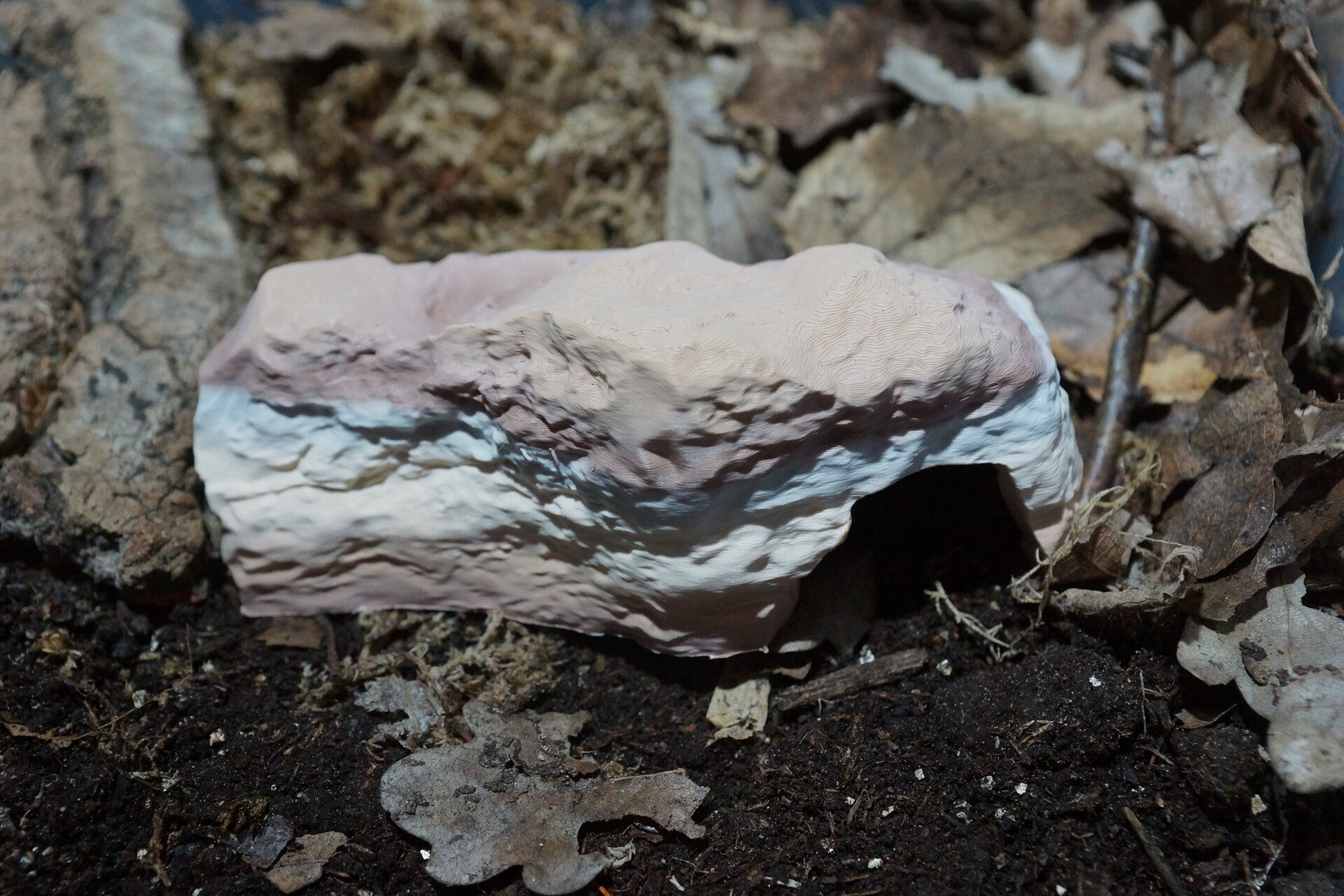 Cachette Grotte Canyon