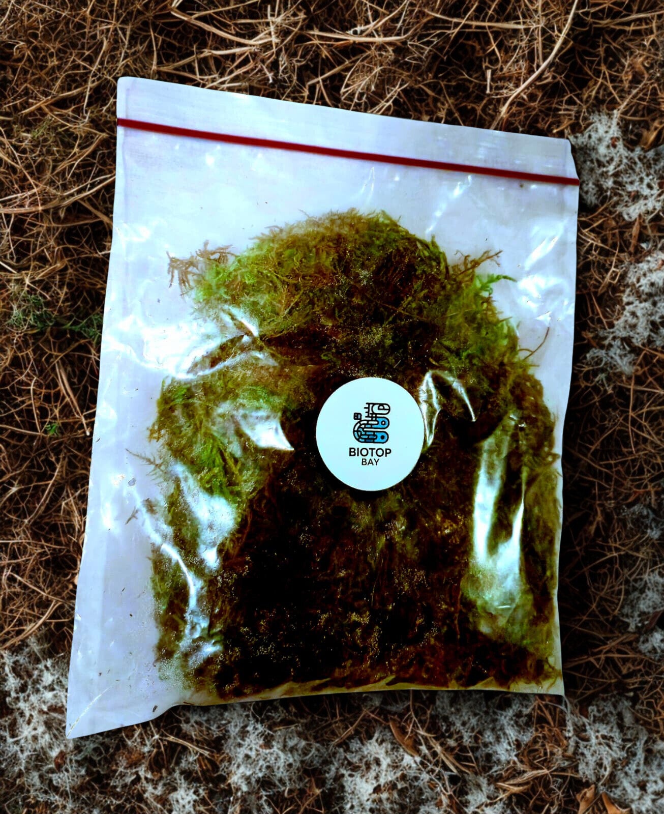 Sac de Sphaignes Vivantes