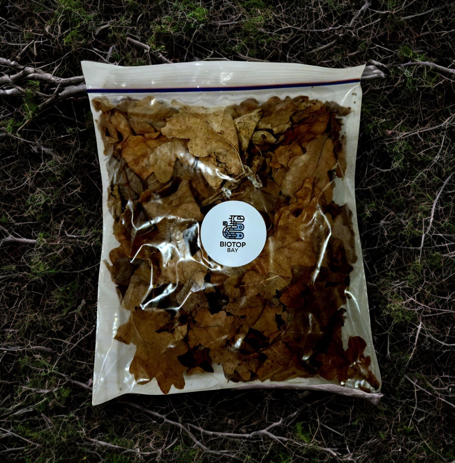 Sac de feuilles mortes naturelles