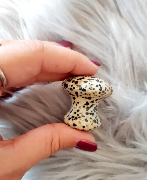 Rouleau de massage jaspe dalmatien petit
