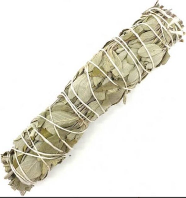 Sauge Brésilienne Guarani Ficelle 30g