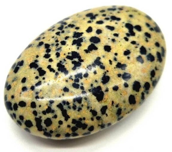 Galet Roulé XL Jaspe Dalmatien 6cm
