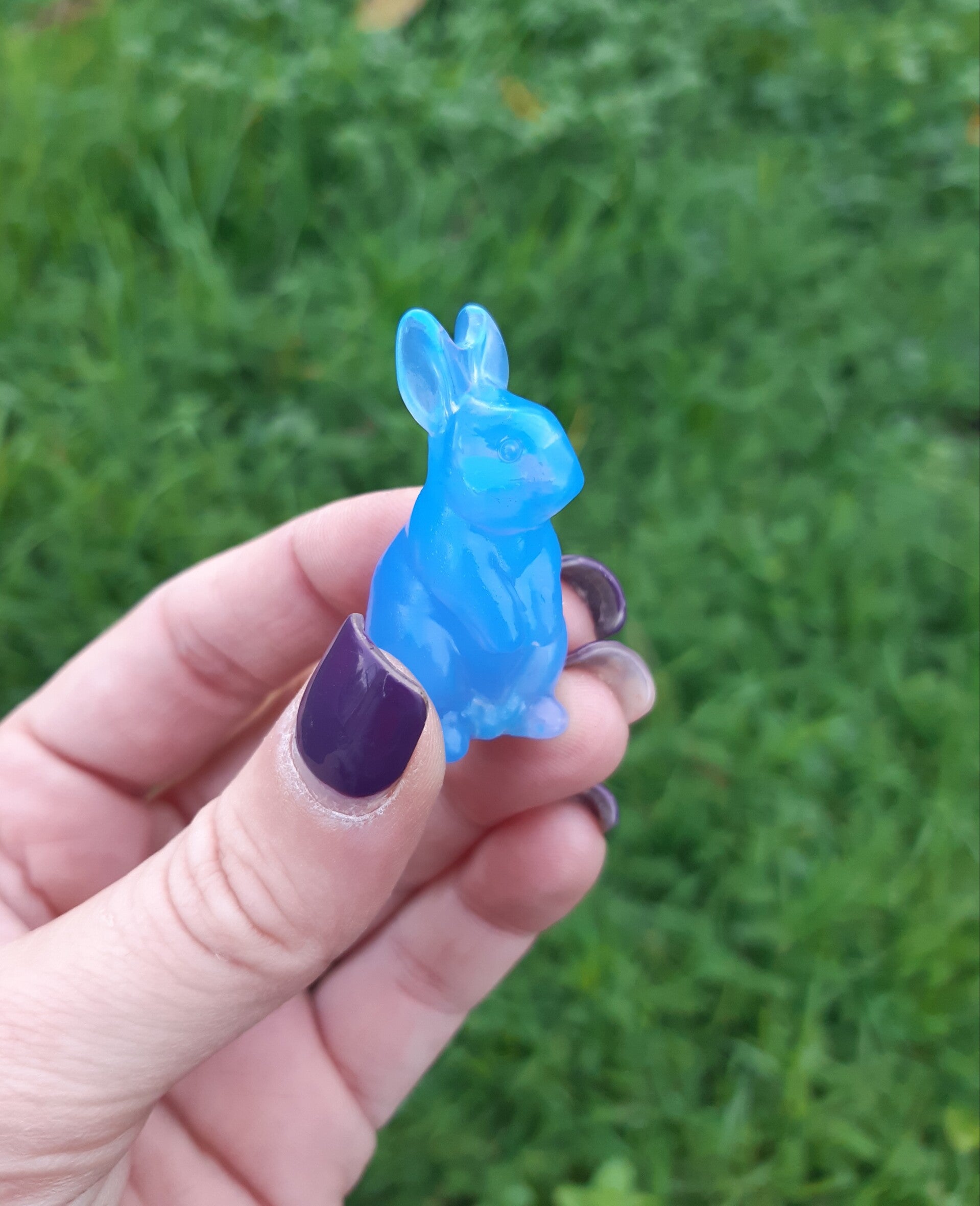 Lapin opale bleu