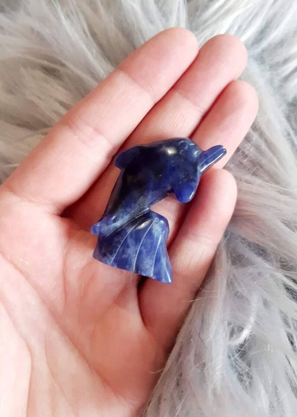 Dauphin lapis-lazuli