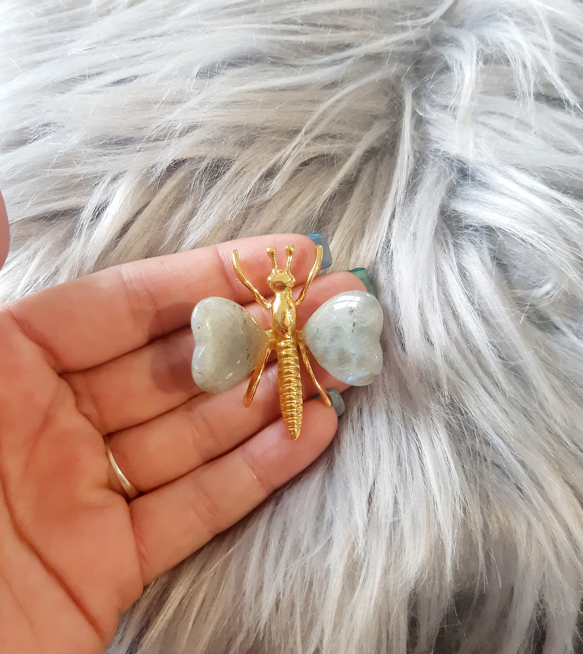 Papillon labradorite