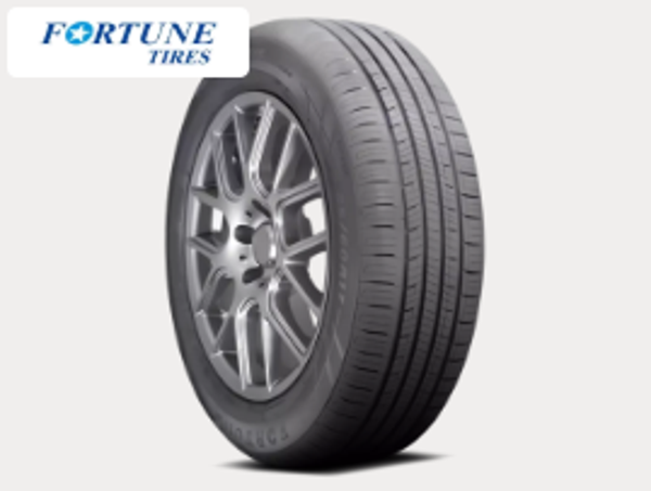215/65R16 98H FORTUNE PERFECTUS A/S FSR602 BLK-PN3335030603