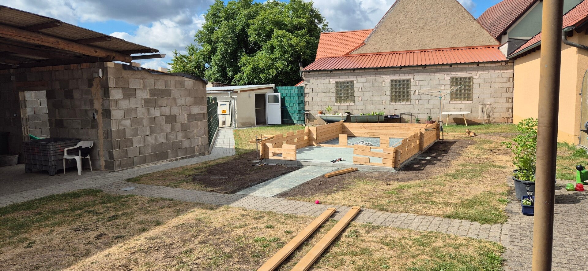 20250628_094348-standard.jpg