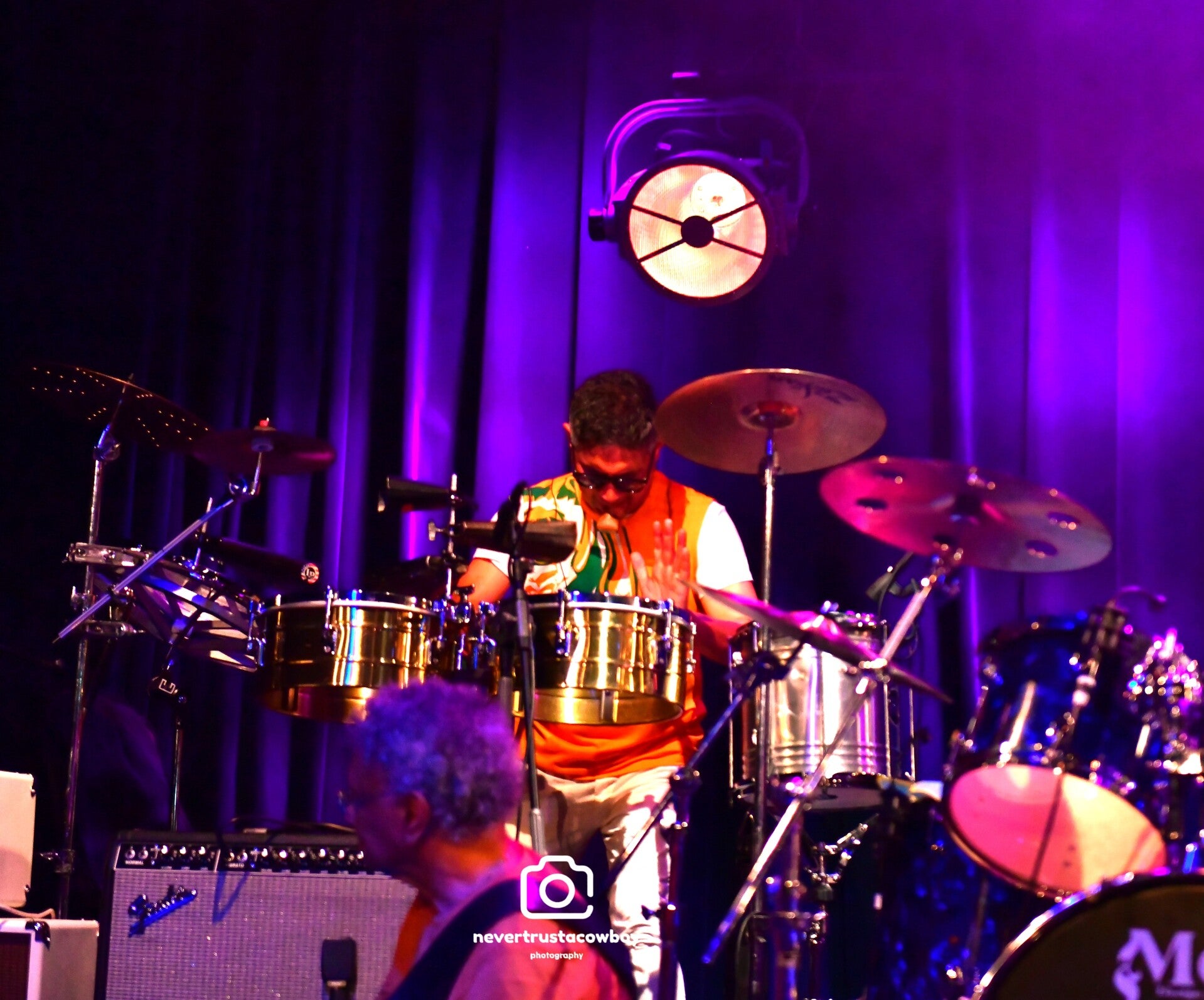 edg_5374-standard.jpg