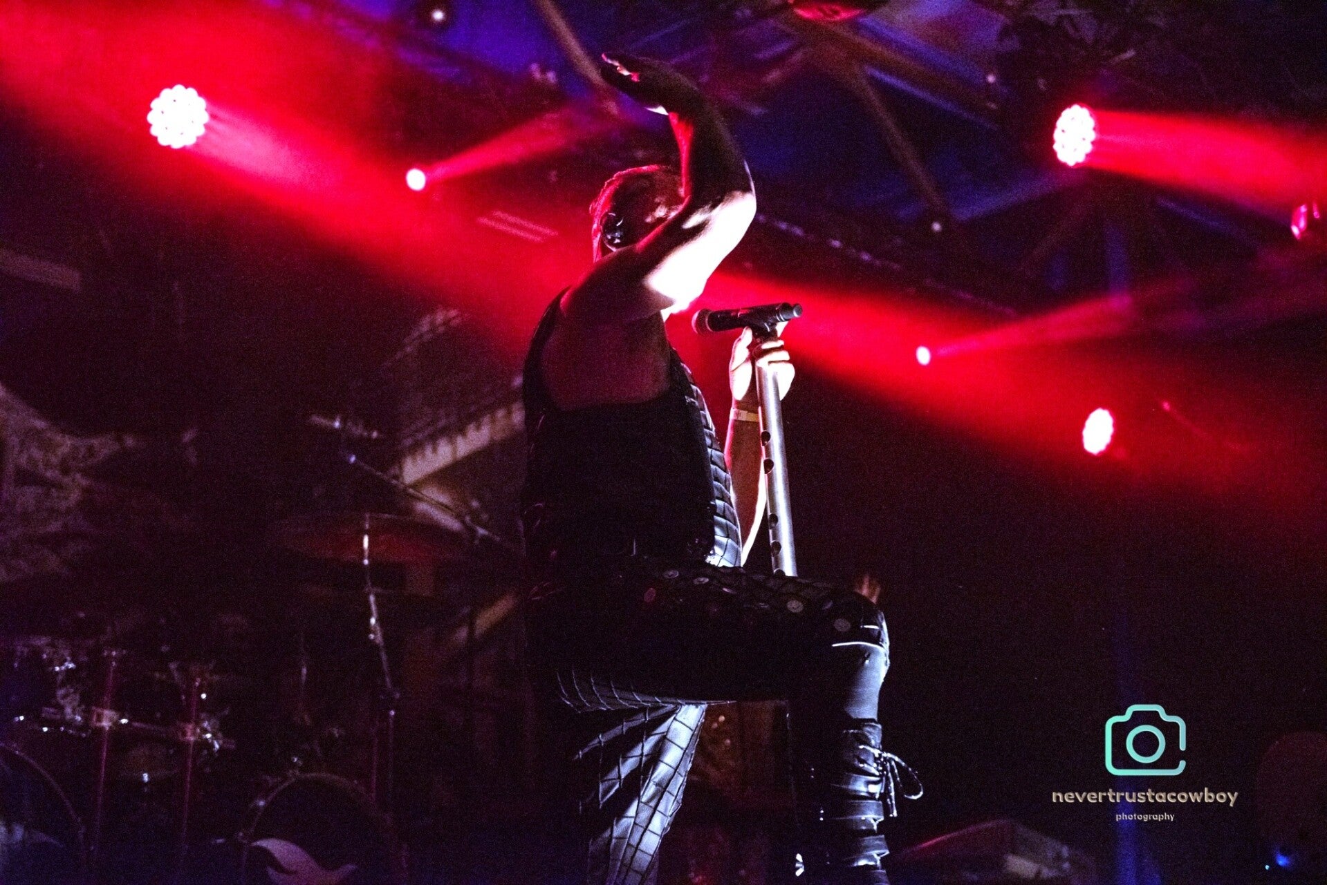 edg_7504-standard.jpg