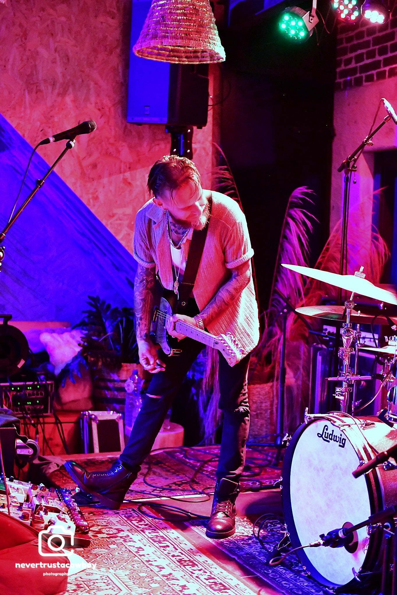 edg_8777-standard.jpg