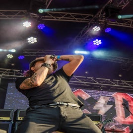 edg_8917-standard.jpg