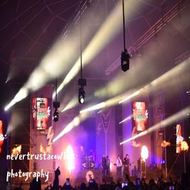 image-081-standard-3lq1n8.jpg