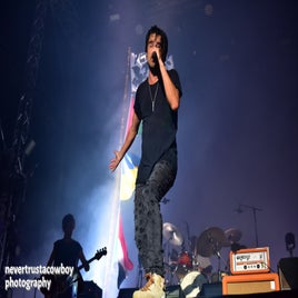 image-113-standard-ht9qbj.jpg