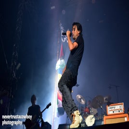 image-116-standard-4z5c8u.jpg