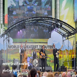 image-12-standard-qzns6r.jpg