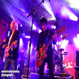 image-22-standard-qwjpy9.jpg