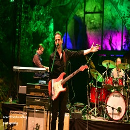 image-329-standard-9y7ga2.jpg