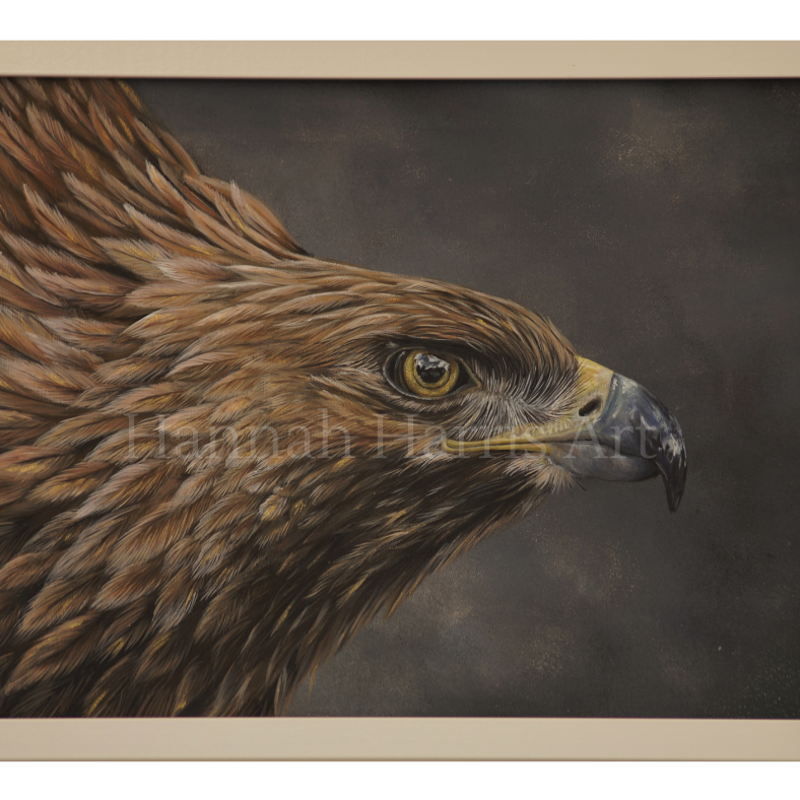 'Renew' Acrylic on Board (30 x 40cm): £450 (framed)