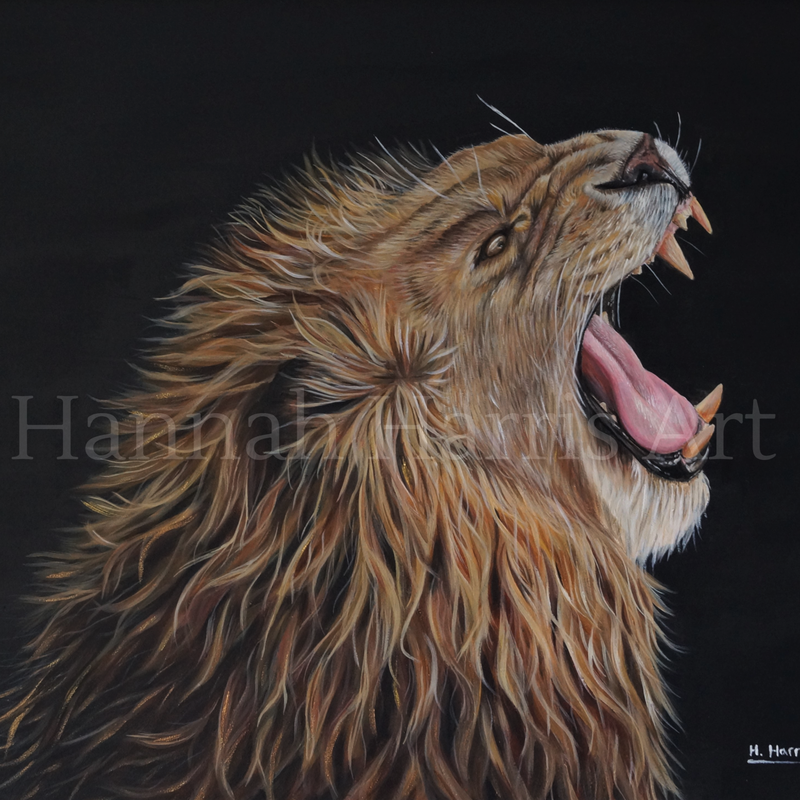 'Fury' Acrylic on Board (40 x 50cm): £495 (framed)