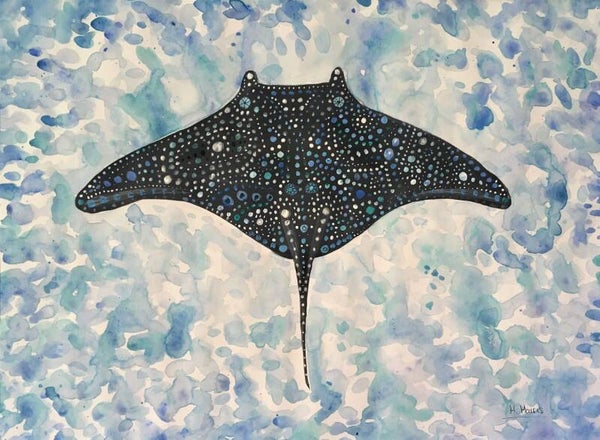 Manta Ray