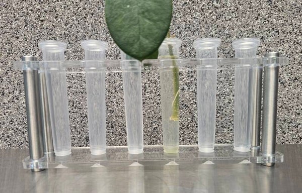 Acryl Reagenzglashalterung hochwertige Ausführung mit Edelstahl