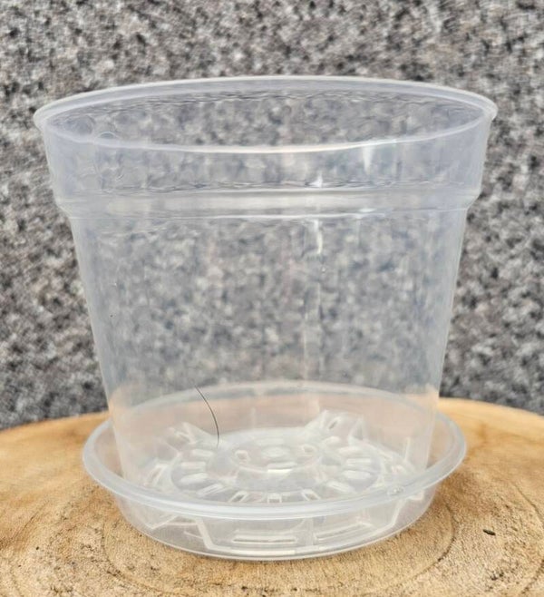 Pflanztopf Transparent groß inkl. Untersetzer