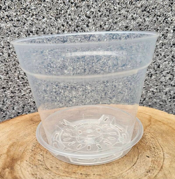 Pflanztopf transparent mittel inkl. Untersetzer
