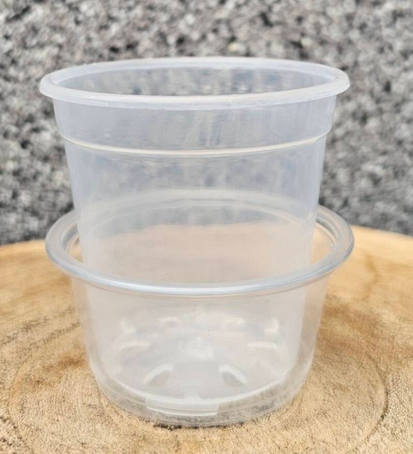 Pflanztopf Transparent klein inkl. Untersetzer