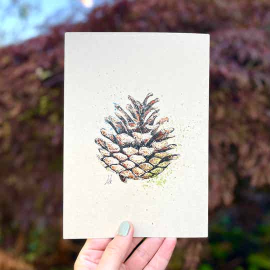 Dennenappel - A5 Print / mini poster