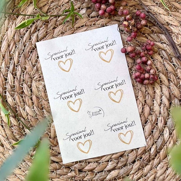 Stickervel ‘speciaal voor jou!!’ - 6 cadeaustickers 4cm