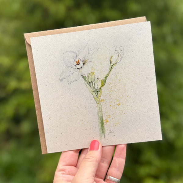 Witte narcis - dubbele kaart