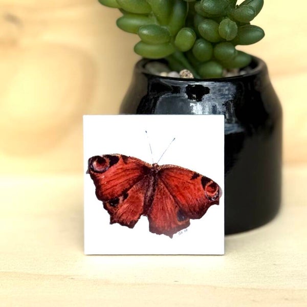 Magnetisch mini tegeltje - Dagpauwoog