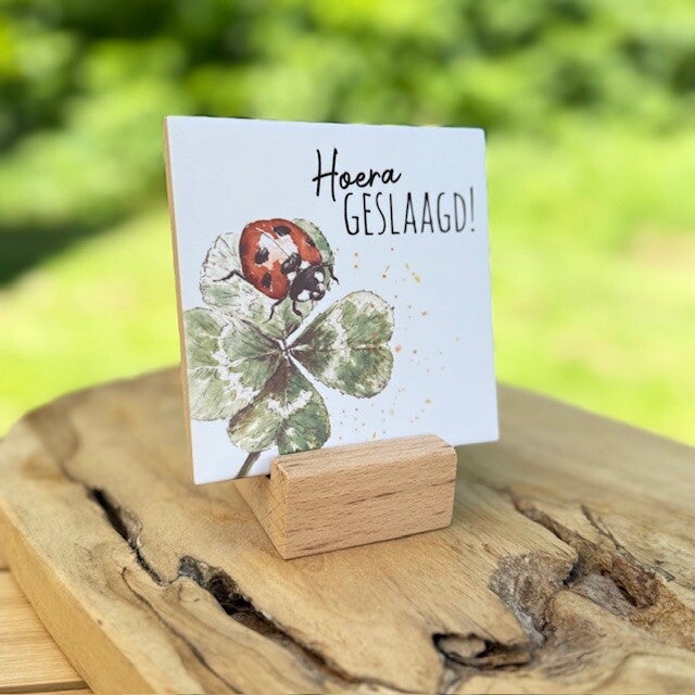 Tegeltje - Geslaagd