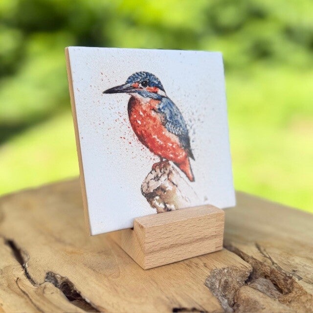 Tegeltje - IJsvogel