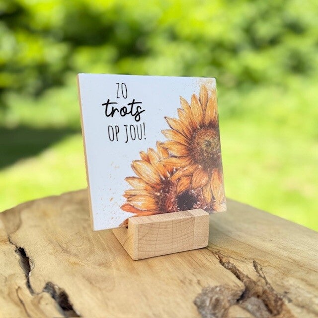 Tegeltje - Zo trots op jou
