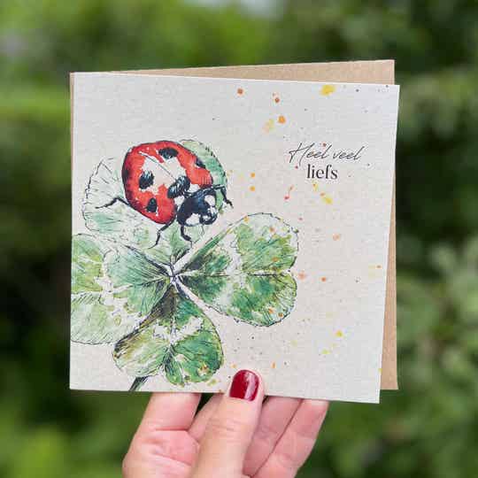 Klavertje vier met lieveheersbeestje 'Heel veel liefs' - dubbele kaart