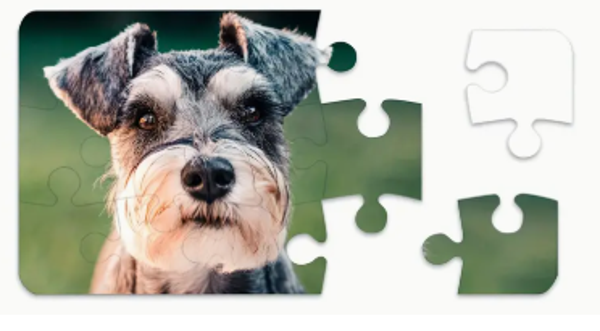 Puzzle - Sublimation